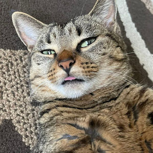 Meet your Posher, Ana